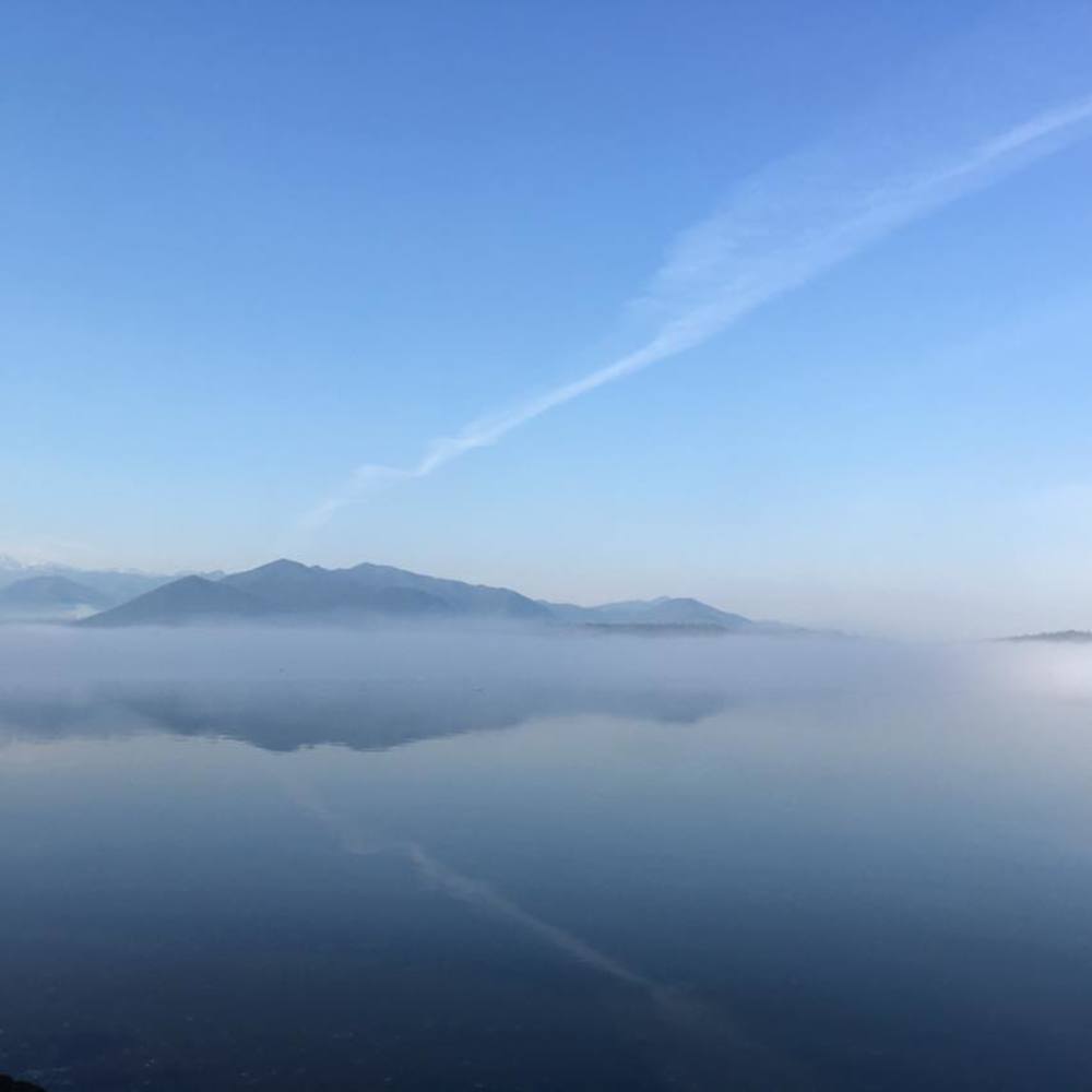 Meet your Posher, Brandi